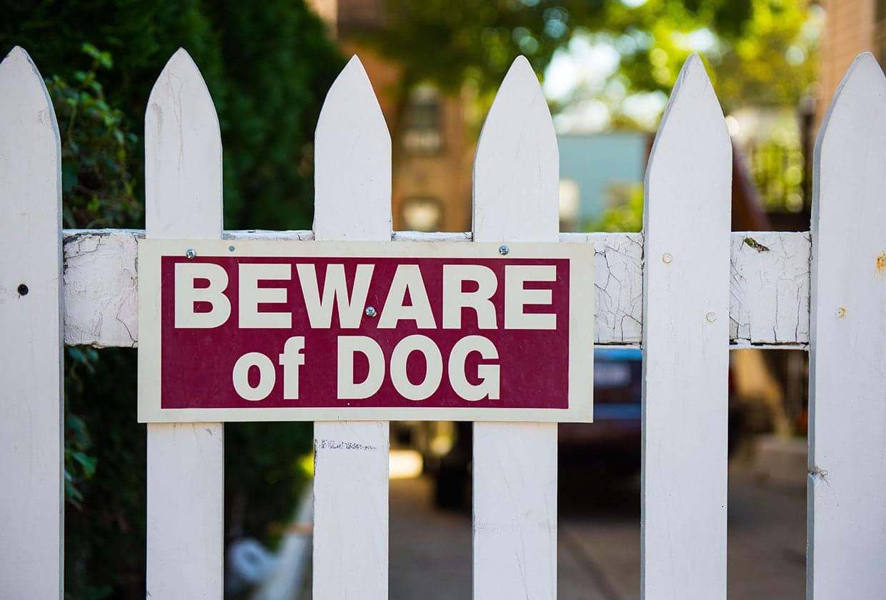 Brownsburg Dog Bite Lawyer
